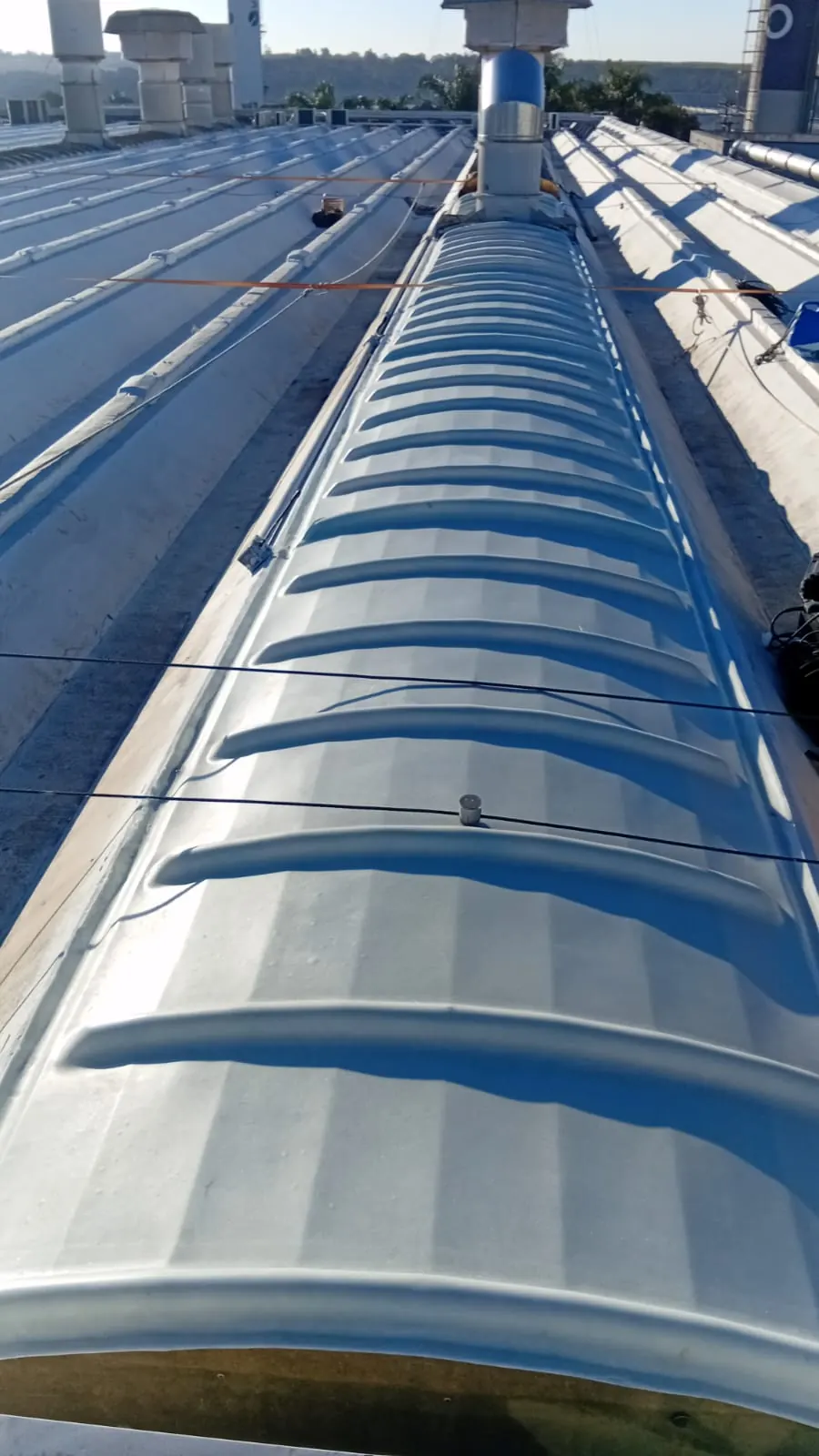Sequência de domos de fibra de vidro vista de uma ponta a outra do galpão